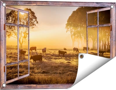 Gards Tuinposter Doorkijk Kudde Koeien in de Wei met Zonsopkomst - 60x40 cm - Tuindoek - Tuindecoratie - Wanddecoratie buiten - Tuinschilderij