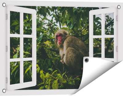 Gards Tuinposter Doorkijk Aap in de Boom tussen de Bladeren - 60x40 cm - Tuindoek - Tuindecoratie - Wanddecoratie buiten - Tuinschilderij
