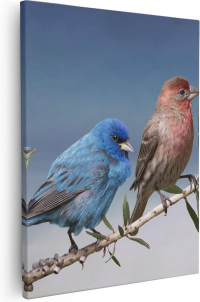 Artaza Canvas Schilderij Kleurrijke Vogels - 40x50 cm - Wanddecoratie Natuur - Muurdecoratie Vogels Op Tak - Kamer Accessoires