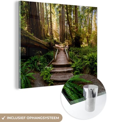 MuchoWow® Glasschilderij 50x50 cm - Schilderij acrylglas - Jungle - Natuur - Trap - Bomen - Foto op glas - Muurdecoratie woonkamer - Wanddecoratie slaapkamer - Schilderijen