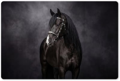 Placemats 45x30 cm - Placemat kunststof - 1 stuk - Portret - Paard - Zwart - Borden onderleggers - Decoratie voor op tafel - Keuken tafeldecoratie accessoires - Vinyl onderlegger - Tafelversiering