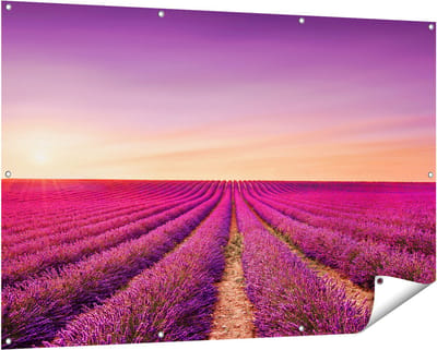 Gards Tuinposter Paarse Lavendel Bloemenveld - 150x100 cm - Tuindoek - Tuindecoratie - Wanddecoratie buiten - Tuinschilderij