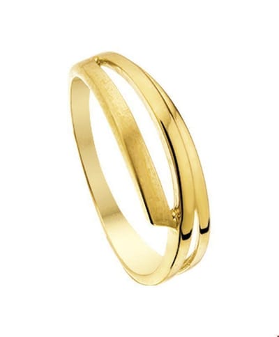 The Jewelry Collection Ring Poli/mat - Goud