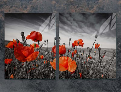 TMK ArtDeko - Serie Maki - Beschermplaat voor fornuizen - 85x52 cm - Glas