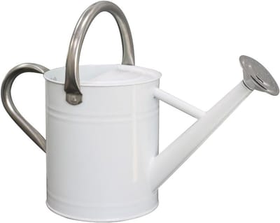 Metalen Gieter - Roestvrij staal gieter - Planten water geven - Duurzaam roestvrij staal - 1 Gallon - Wit