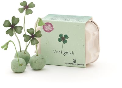 6 kleurrijke bloemknikkers - Gelukszaadjes - Origineel cadeau - Groene klaver - Duurzaam en decoratief