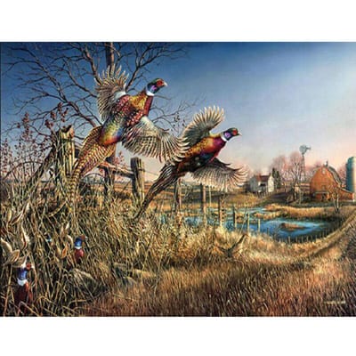 Diamond Painting Australië Papegaai Borduurvogels Afbeelding van Strass Kinderkamersticker 20X30CM