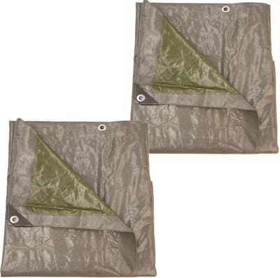 Talen Tools Afdekzeil/dekzeil - 2x - grijs/groen - kunststof - 140 gr/m2 - 200 x 400 cm - waterdicht