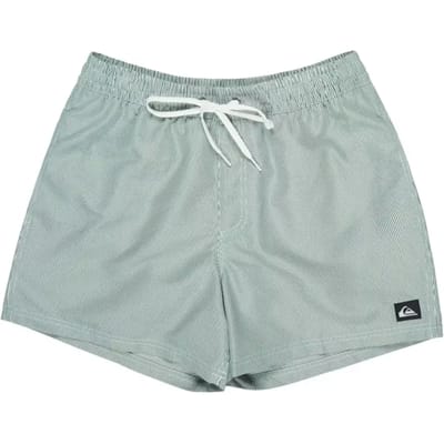 Quiksilver Everyday Deluxe Volley 15´´ Zwembroek Groen XS Man