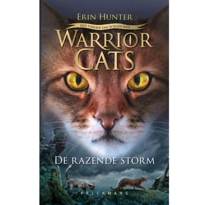 Een Visioen Van Schaduwen: / De Razende Storm - Warrior Cats - Erin Hunter