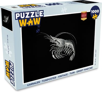 Puzzel Garnalen - Vintage - Ernst Haeckel - Dieren - Kunst - Legpuzzel - Puzzel 1000 stukjes volwassenen