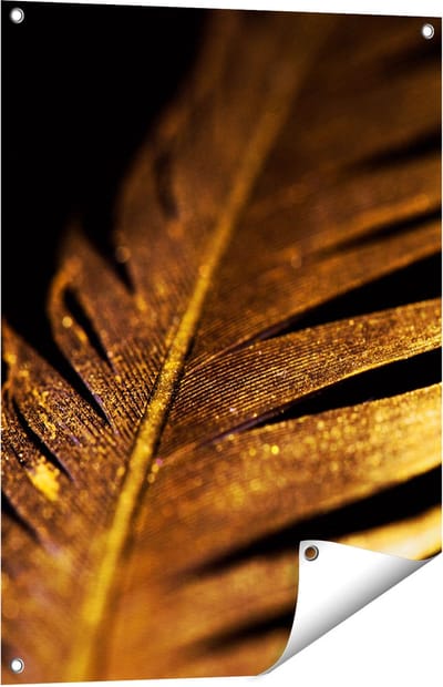 Gards Tuinposter Gouden Veer - 60x80 cm - Tuindoek - Tuindecoratie - Wanddecoratie buiten - Tuinschilderij