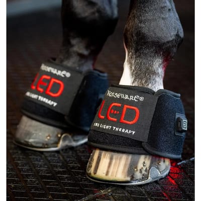 Mini Lichttherapie Klokken voor Paard Horseware