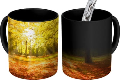 Magische Mok - Foto op Warmte Mokken - Koffiemok - Boom - Natuur - Zon - Landschap - Bos - Magic Mok - Beker - 350 ML - Theemok