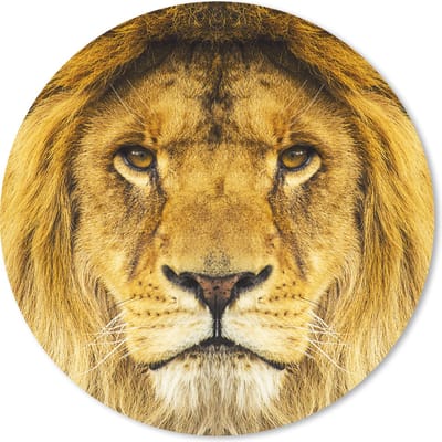 Muismat rond 20x20 cm - Mousepad Leeuw - Portret - Bruin - Ronde muismatten