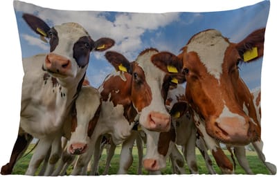 Buitenkussens - Tuin - Koeien - Dieren - Weiland - Natuur - 50x30 cm