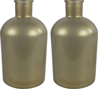 Countryfield bloemen/takken Vaas - 2x stuks - mat goud glas - fles - D14 x H27 cm