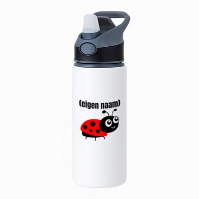 Hacebo® - lieveheersbeestje met eigen naam waterfles met rietje zwart - Lieveheersbeestje - lieveheersbeestje liefhebbers - iemand die houdt van lieveheersbeestjes - verjaardag - cadeau - kado - water fles - 650ML