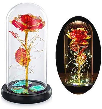 Roos in Glazen Koepel - Altijd Bloem en LED Verlichting - Perfect Cadeau voor Vrouwen, Moeders en Meisjes