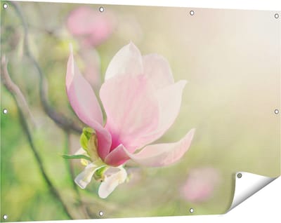 Gards Tuinposter Roze Magnolia Bloem - 120x80 cm - Tuindoek - Tuindecoratie - Wanddecoratie buiten - Tuinschilderij