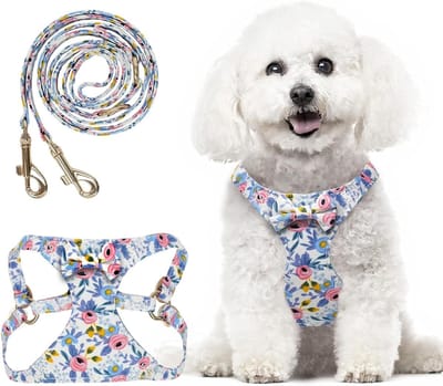 Honden tuigje met strik - Hondenriem set - Wandelen met hond - Verstelbare dubbele clip - Maat M