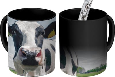 Magische Mok - Foto op Warmte Mokken - Koffiemok - Koe - Weiland - Natuur - Dieren - Gras - Magic Mok - Beker - 350 ML - Theemok