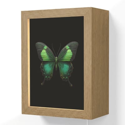 Wandlamp 15x20 cm - Oplaadbaar - Vlinder - Groen - Opvallend - Wandlampen binnen woonkamer - Slaapkamer lamp met kabel - Decoratieve nachtlamp - Vloerlamp snoer