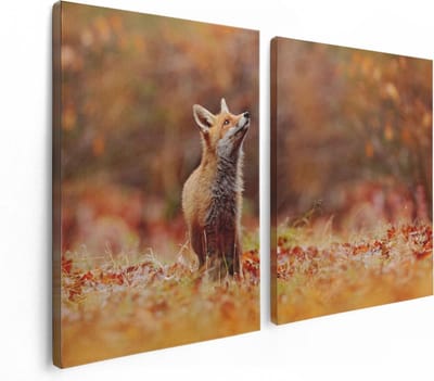 Artaza Canvas Schilderij Tweeluik Vos in het Bos tussen de Bladeren - 120x80 - Foto Op Canvas - Canvas Print
