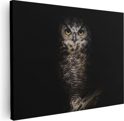 Artaza Canvas Schilderij Dierenkop Uil - 40x30 cm - Klein - Wanddecoratie Dieren - Muurdecoratie Vogel - Kamer Accessoires