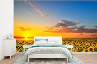 Behang - Fotobehang Bloemen - Zonnebloem - Zonsondergang - Nacht - Oranje - Breedte 295 cm x hoogte 220 cm