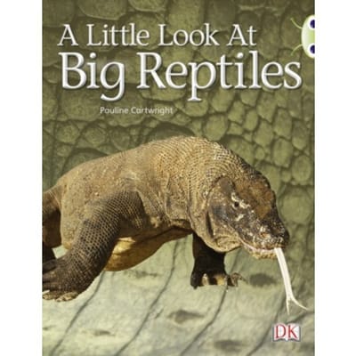 Bug Club Guided Non Fiction Year 1 Blue B A Little Look At Big Reptiles - Bug Club - Pauline Cartwright
