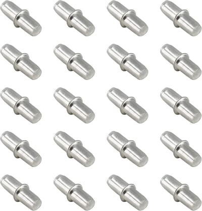 Planksteunpennen - 20 stuks - Plankdragers - Planksteunen - Boekenkast steunen - Kastplankdragers - Legplankdrager - Voor keukens, schoenenkasten en wijnkasten - 5×15mm - Zilver