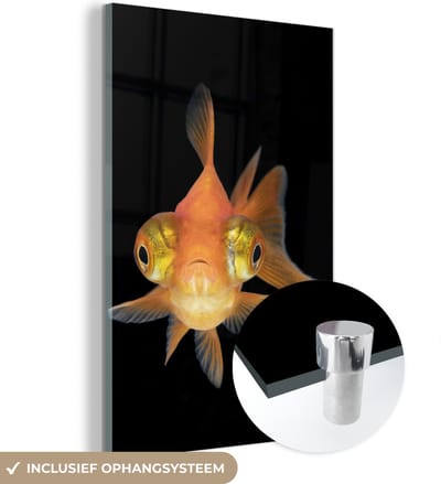 MuchoWow® Glasschilderij 120x180 cm - Schilderij acrylglas - Goudvis - Zeedieren - Ogen - Foto op glas - Schilderijen