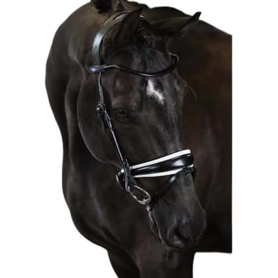 Hoofdstel PS of Sweden GP