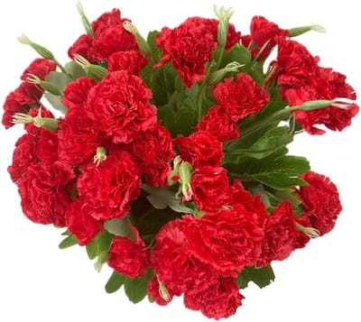 Kunstbloemen Boeket met 4 Bossen Anjers, 12 Inch Boeket en Groene Bladeren voor Fotoprops, Feestdecoratie en Bruiloftsbloemen met 10 Bloemen per Bos (Rood)