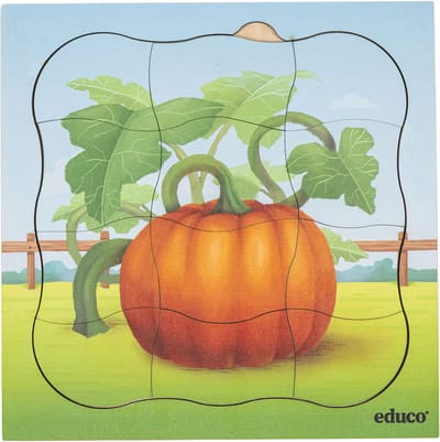 Groeipuzzel boerderij - Pompoen