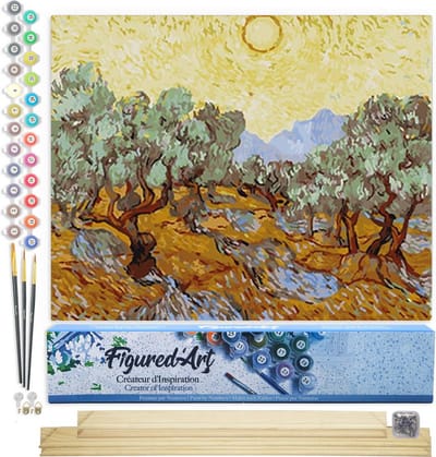 Figured'Art Schilderen op Nummer Volwassenen canvas Van Gogh St Remy - Handwerk acrylverf Kit DIY Compleet - 40x50cm met DIY houten lijst