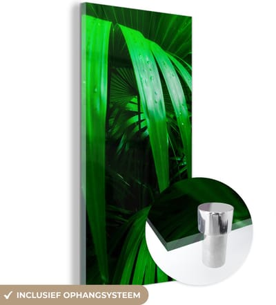 MuchoWow® Glasschilderij 20x40 cm - Schilderij acrylglas - Palmbladen in de jungle - Foto op glas - Schilderijen