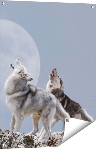 Gards Tuinposter Twee Wolven Die Huilen tijdens Volle Maan - 60x80 cm - Tuindoek - Tuindecoratie - Wanddecoratie buiten - Tuinschilderij