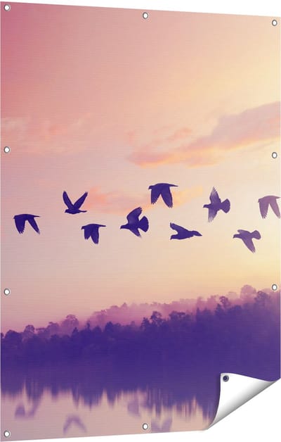 Gards Tuinposter Silhouet Vogels tijdens Zonsondergang - 90x120 cm - Tuindoek - Tuindecoratie - Wanddecoratie buiten - Tuinschilderij