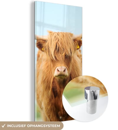 MuchoWow® Glasschilderij 20x40 cm - Schilderij acrylglas - Schotse hooglander - Haar - Gras - Foto op glas - Schilderijen
