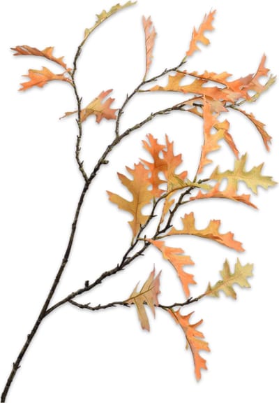 Silk-ka Kunstbloem-Kunsttak Eikenblad Tak Geel 110 cm