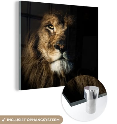 MuchoWow® Glasschilderij 50x50 cm - Schilderij acrylglas - Leeuw - Licht - Portret - Foto op glas - Schilderijen