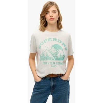 Superdry Lo-fi Outdoor Mono Relaxed T-shirt Lichtgrijs Grootte: 38