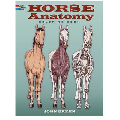 Horse Anatomy Coloring Book - Dover Science For Kids Coloring Books - John Green