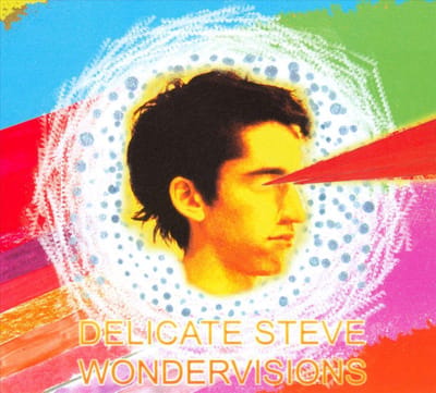 Wondervisions - Delicate Steve