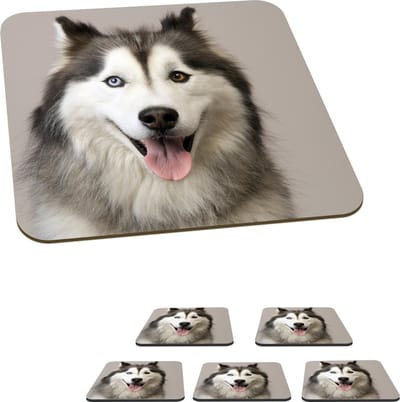 Onderzetters voor glazen - Husky portret - 10x10 cm - Glasonderzetters - 6 stuks