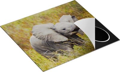 Chefcare Inductie Beschermer Olifanten Baby in het Gras - Olifant - 60x50 cm - Afdekplaat Inductie - Kookplaat Beschermer - Inductie Mat