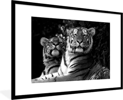 Fotolijst incl. Poster - Tijger - Dieren - Zwart - Wit - 120x80 cm - Posterlijst