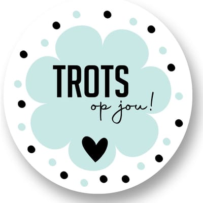 20x Stickers Tots op jou! - Bedanken - Trots - Pensioen - Zwemdiploma - Bedanken Cadeau - Nieuwe Baan - 20 stuks - 4 cm - Wensetiket - Sluitsticker - RoNa Design